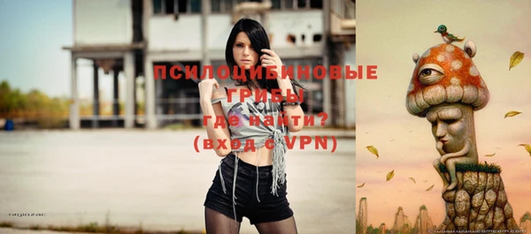 тгк Зеленокумск