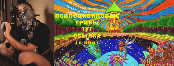 ECSTASY Зерноград