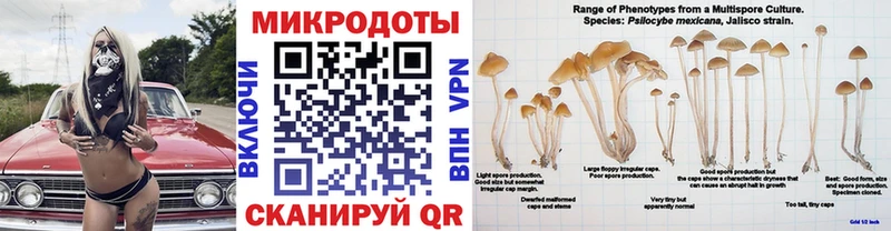Галлюциногенные грибы Psilocybine cubensis  Купить  Заводоуковск 